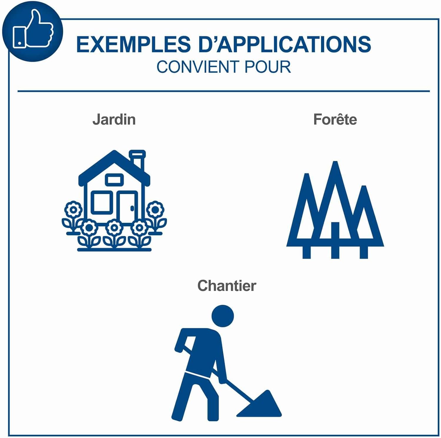 Brouette à chenilles DP5000 benne basculante 196CC Scheppach